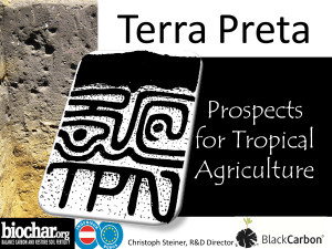 Prospects for Tropical Agriculture