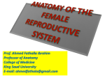 1-Anatomy of the female reproductive system
