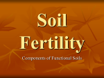 Soil Fertility notes