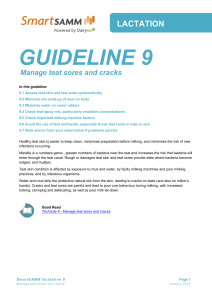 guideline 9