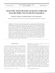 Anaerobic mineralization in marine sediments from the Baltic Sea