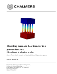 Modelling mass and heat transfer in a porous structure