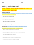 2. What do the layers of an energy pyramid