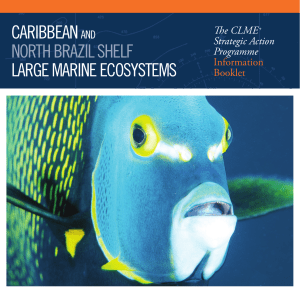 caribbean and large marine ecosystems north brazil shelf