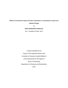 Effects of membrane shape and lipid composition in extracellular