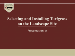 Selecting and Installing Turfgrass on the Landscape Site