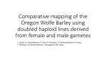 Comparative mapping of the Oregon Wolfe Barley