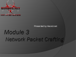 Module 3 Network Packet Crafting
