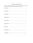 PhysicalChemicalChangesworksheet