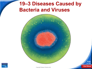 19-3 Diseases Caused by Bacteria and Viruses