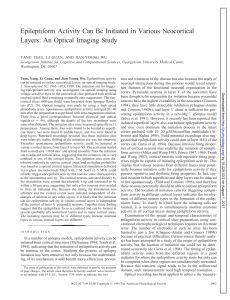 Epileptiform Activity Can Be Initiated in Various Neocortical Layers