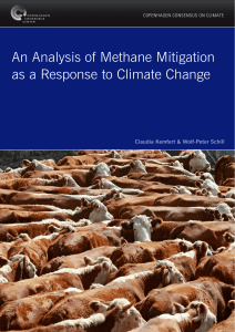 An Analysis of Methane Mitigation as a Response