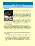 Streamflow and Runoff ( file)