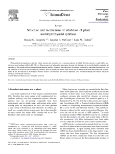 Structure and mechanism of inhibition of plant