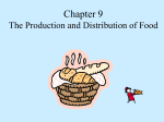 Chapter 10 The Production and Distribution of Food