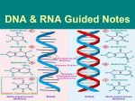 DNA