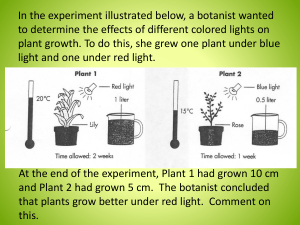 Plant Experiment