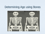 Determining Age using Bones