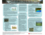 Agricultural Impacts on the MN River