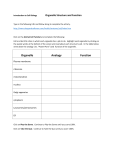 Organelle Structure and Function