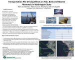 Transportation Pile Driving Effects on Fish, Birds and Marine