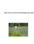 aquatic plants of fitzgerald lake