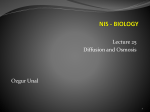 nis - biology