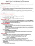 Action Potential