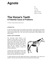 The Horse`s Teeth (DBIRD_NT)
