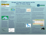 Nitrogen Cycling in Lake Superior and the Effects of Climate Change