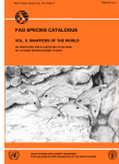 FAO species catalogue. Vol.6. Snappers of the world. An annotated