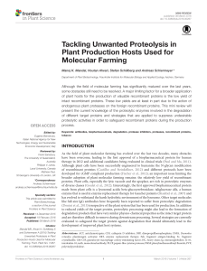 Tackling Unwanted Proteolysis in Plant Production Hosts Used for