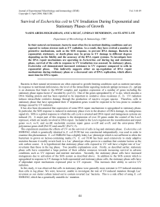 Survival of Escherichia coli to UV Irradiation During Exponential and