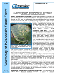 Sudden Death Syndrome of Soybean