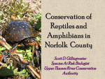 Conservation of Reptiles and Amphibians in Norfolk County