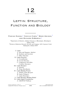 Leptin: Structure, Function and Biology