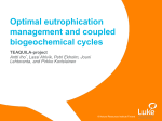 Optimal eutrophication management and coupled biogeochemical