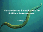 Nematodes as bioindicators of soil health around Erie Lake region