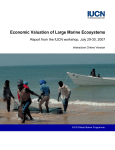 Economic Valuation of Large Marine Ecosystems
