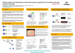 Efficient Isolation and Identification of Intracellular Protein