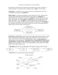 Matter and Energy in Ecosystems The interactions that