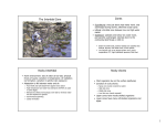 The Intertidal Zone Zones Rocky Intertidal Rocky shores