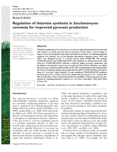 Regulation of thiamine synthesis in Saccharomyces cerevisiae for