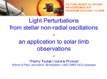 Light perturbation from stellar non radial oscillations: an application