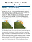 BSU Honors Biology Chapter 5 Reading Guide Cell