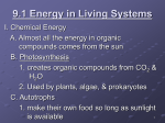 9.1 Energy in Living Systems