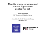 The microbial fuel cell could be a core