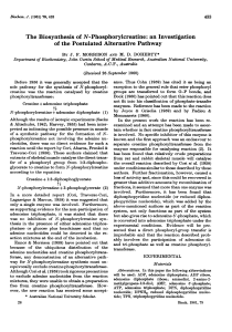 The Biosynthesis of N-Phosphorylcreatine: an Investigation of the