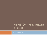 The History and Theory of Cells