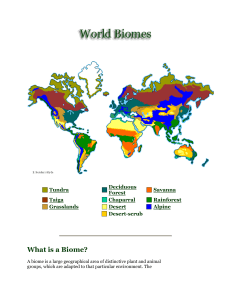 Biomes of the World information